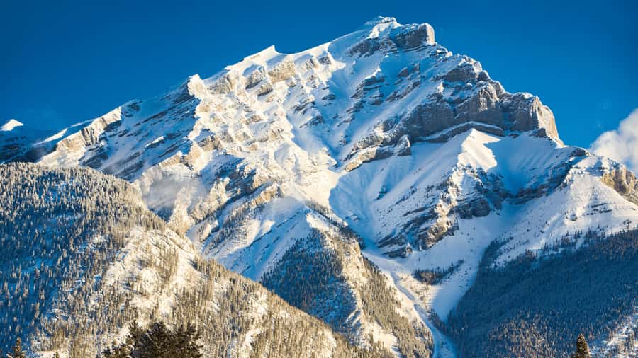 Banff: Gondola Ticket and Johnston Canyon Hiking Tour - The Guide Makes or Breaks the Day