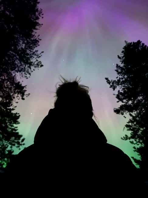 Banff: Guided Sunset and Stargazing Tour - Wildlife After Dark: Lantern Light, Bear Safety, and Staying Present