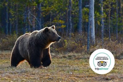 Banff Highlights & Wildlife | Award-Winning Small Group Adventure - The small-group advantage: max 12 and how it changes your experience