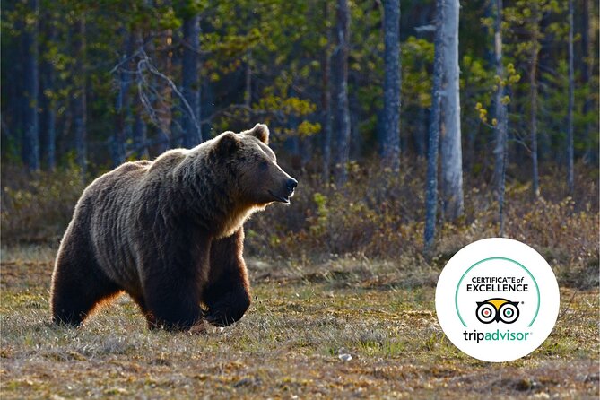 Banff Highlights & Wildlife | Award-Winning Small Group Adventure - The small-group advantage: max 12 and how it changes your experience