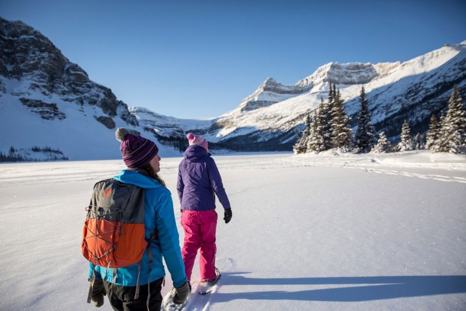 Banff: Icefields Parkway & Abraham Lake Ice Bubbles Tour - Key things I’d plan around