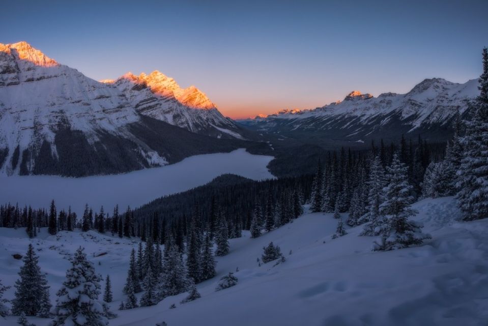 Banff: Icefields Parkway & Abraham Lake Ice Bubbles Tour - Why this Banff winter combo feels worth it