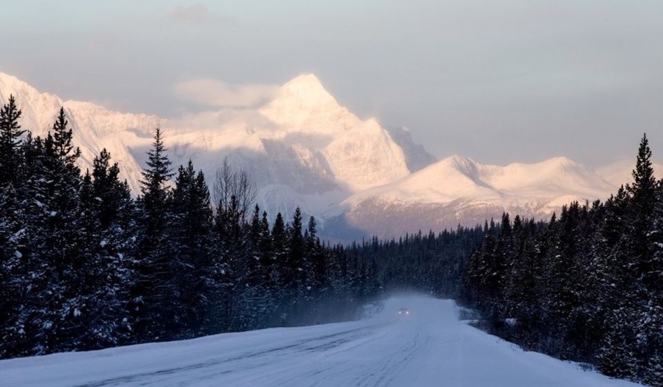 Banff: Icefields Parkway & Abraham Lake Ice Bubbles Tour - The small-group ride: comfort, windows, and fewer headaches