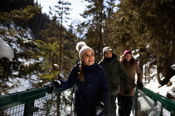 Banff, Lake Louise and Johnston Canyon - Winter Wonderland Tour - Lake Louise Ice: Skating, Snowshoeing, and Lakeside Wandering