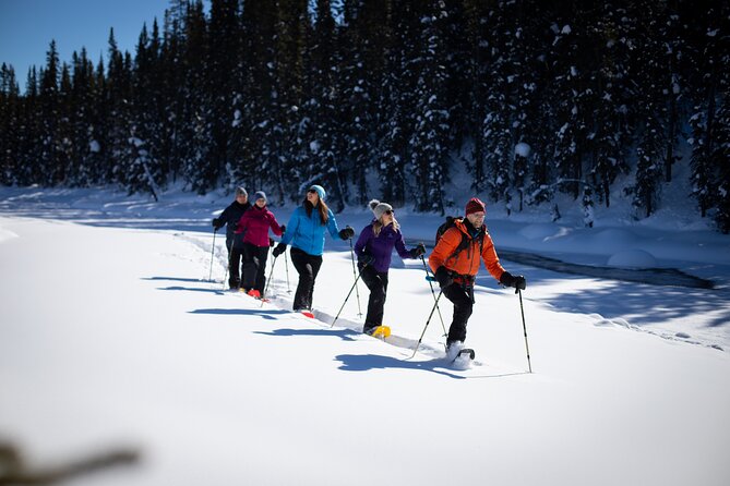 Banff, Lake Louise and Johnston Canyon - Winter Wonderland Tour - Lunch at Samson Mall: Keep It Simple in a Remote Spot