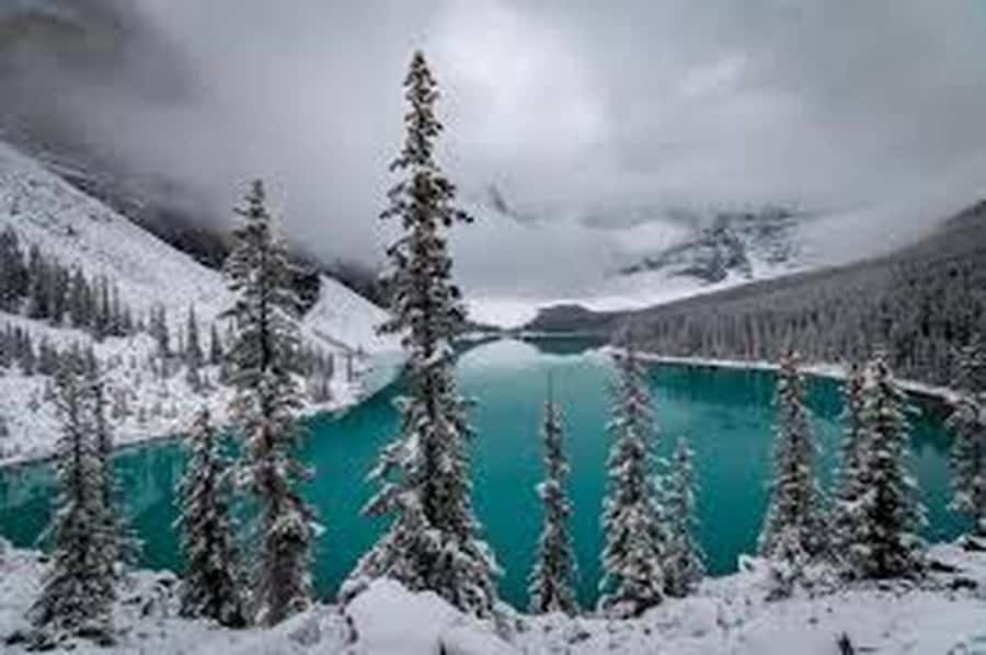 Banff: Lake Louise, Moraine, Emerald & Johnston Canyon Tour - Who This Tour Fits Best (and Who Should Skip It)