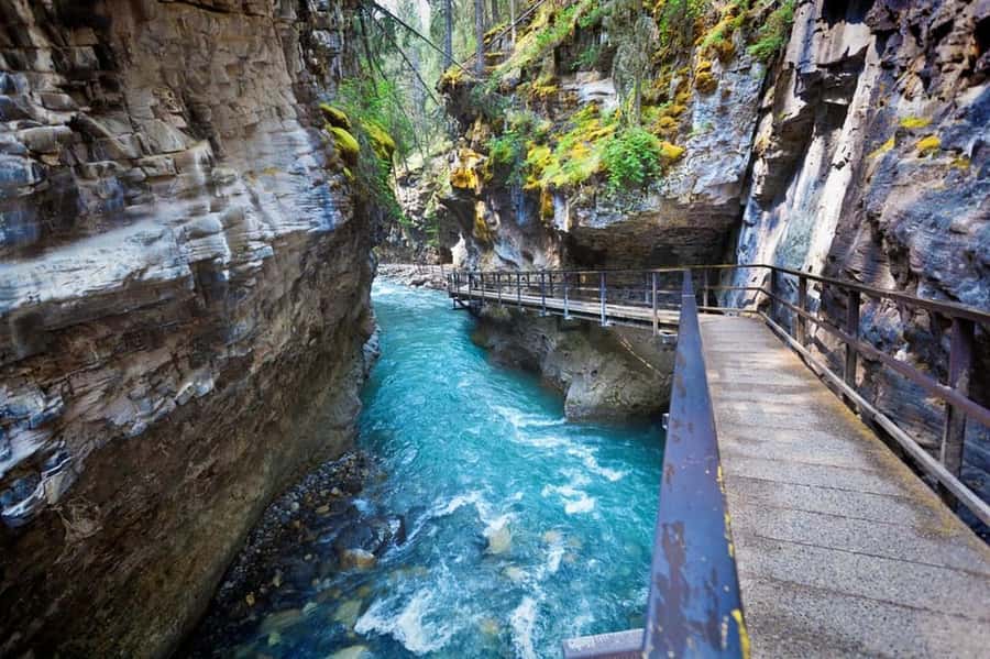 Banff: Lake Louise, Moraine, Emerald & Johnston Canyon Tour - Lake Louise: A Guided Hour at the Glacier-Fed Edge