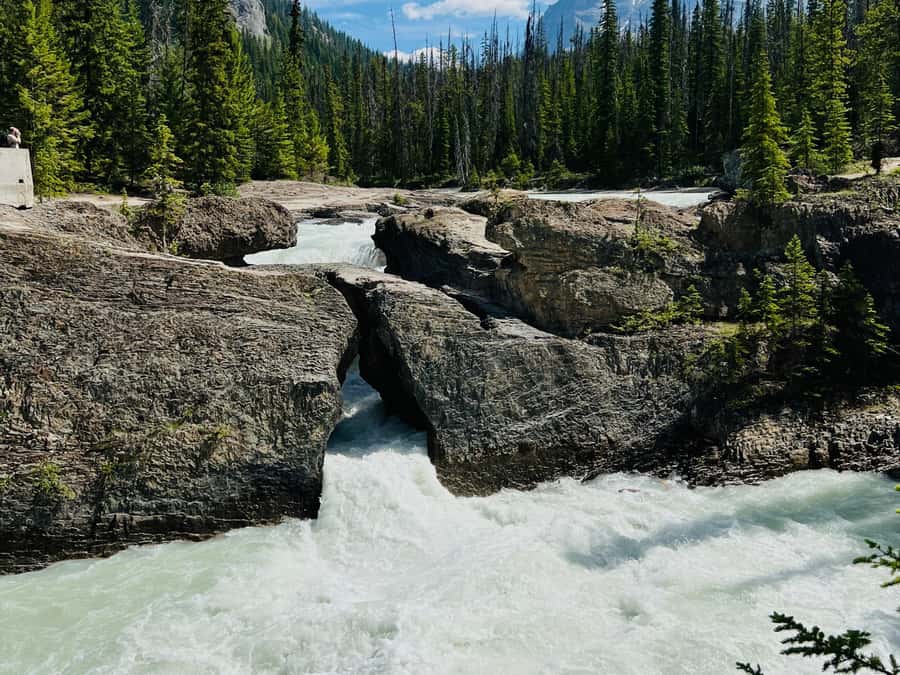Banff: Moraine Lake, Lake Louise, Emerald Lake and Yoho Trip - Yoho National Park: Emerald Lake’s turquoise water and what to expect
