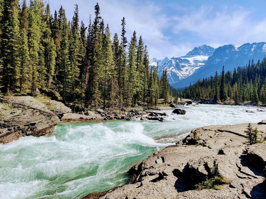 Banff: Moraine Lake, Lake Louise, Emerald Lake and Yoho Trip - Pickup, timing, and the ride from Calgary, Banff, or Canmore