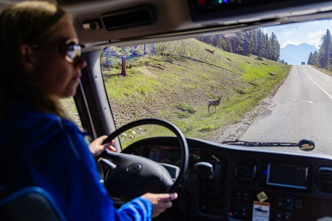 Banff Morning Tour Scenic Highlights and Gondola Ride - Bankhead Ghost Town (summer only): Banff beyond the postcard