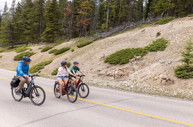 Banff Mountain Lakeside - E-bike Tour - Stop 5: Two Jack Lake, where the ride closes on a high note