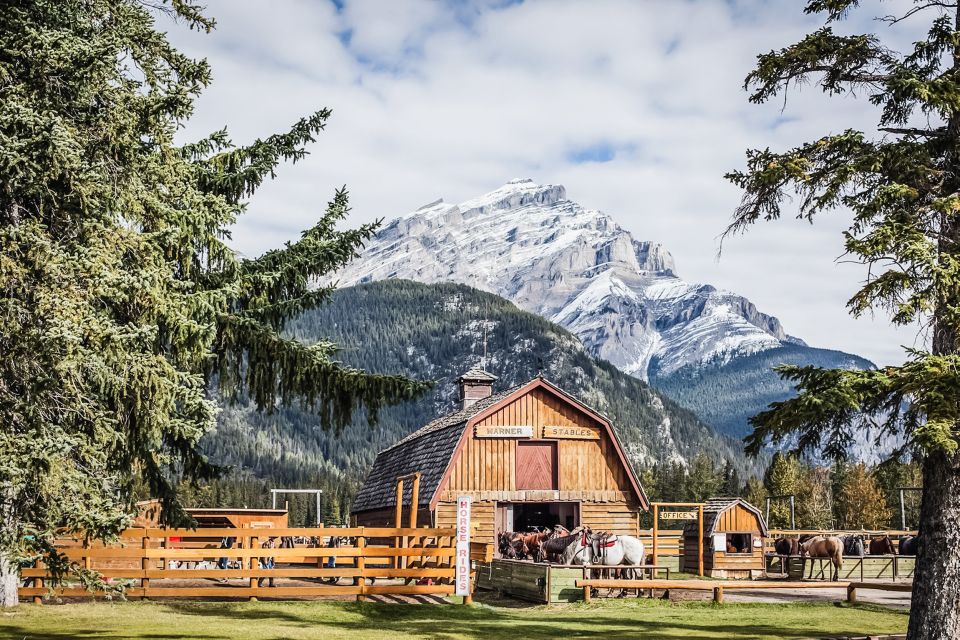 Banff National Park: 1-Hour Bow River Horseback Ride - Riding past Cave and Basin and the marsh-meadow wildlife zone