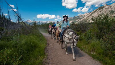Banff National Park: 2-Hour Sundance Loop Horseback Ride - Sundance Loop basics: what you’ll do on your horse