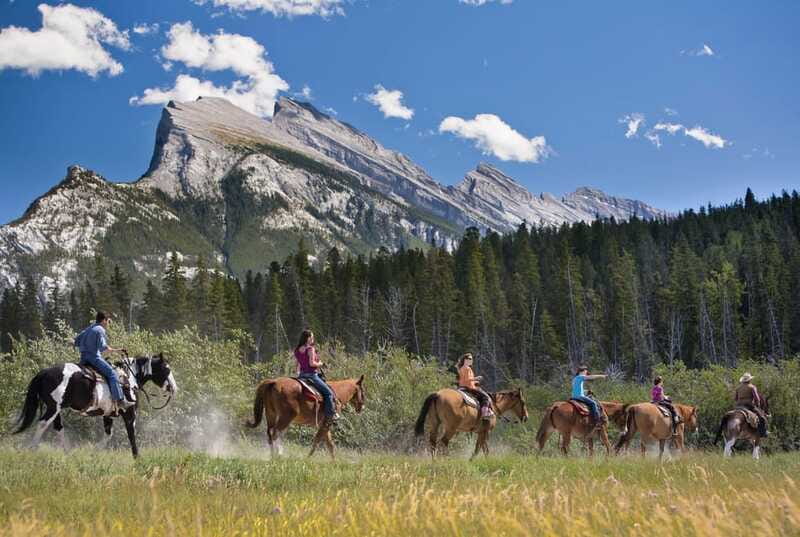 Banff National Park: 2-Hour Sundance Loop Horseback Ride - The horses and guiding style: what you can expect from the staff