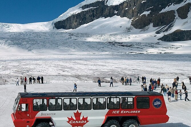 Banff National Park and Columbia Icefield 2 Day Tour from Calgary - Peyto Lake and Bow Lake: turquoise color and calm mountain views