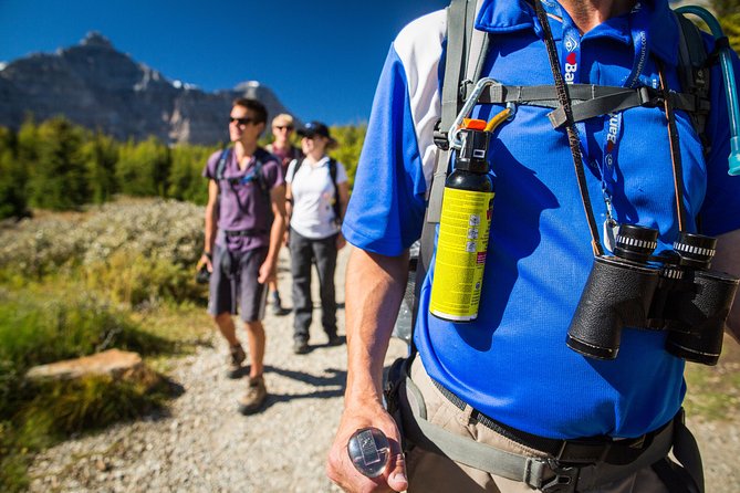 Banff National Park Guided Hike with Lunch - Consolation Lakes: easy hike with Moraine Lake exploring and the Rockpile