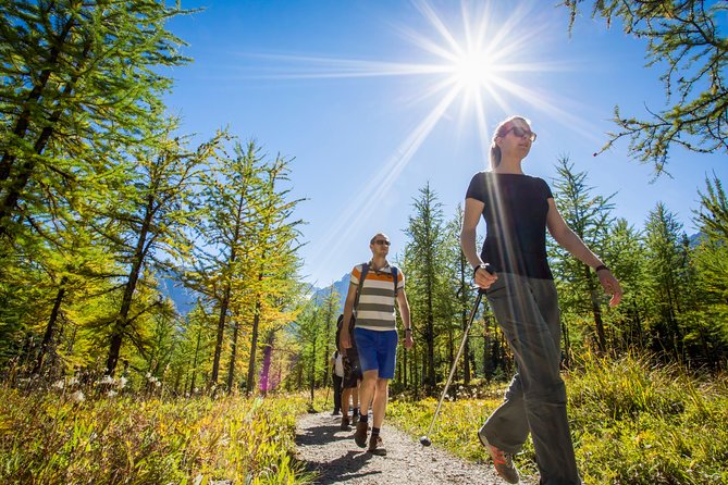 Banff National Park Guided Hike with Lunch - Plain of Six Glaciers: Lake Louise start to the teahouse and glacier views