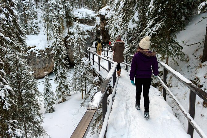 Banff National Park & Lake Louise FULL DAY PRIVATE TOUR - Quick Photo Stops: Bow Falls and Surprise Corner for Banff Springs