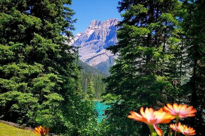 Banff National Park Moraine Lake and Lake Louise Explorer Tour - The Sprinter Van Experience: Small Group Energy and Guide Styles