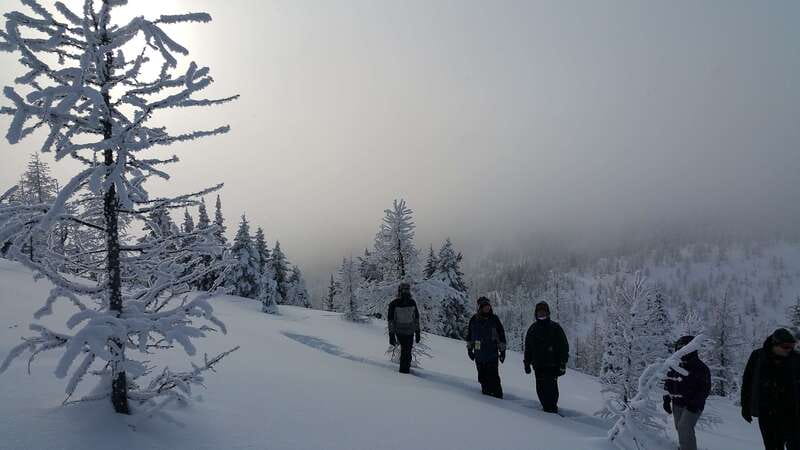 Banff National Park: Sunshine Meadows Snowshoeing Experience - Sunshine Meadows Snowshoeing: Why This 4-Hour Trip Works