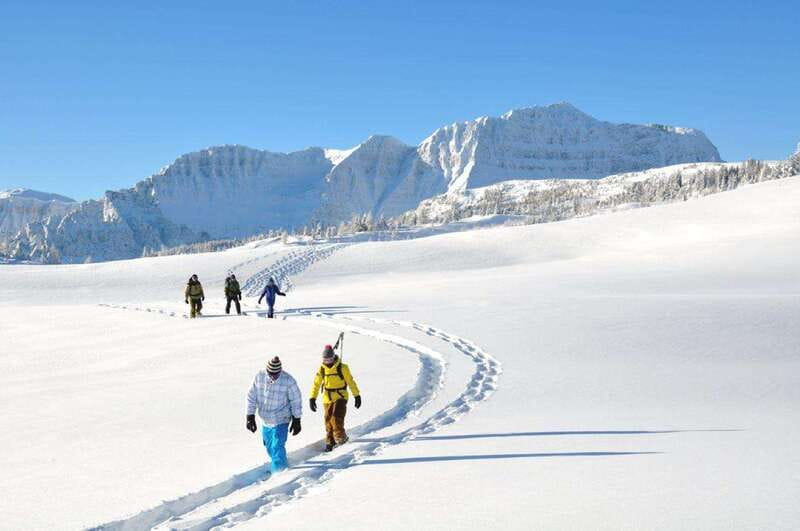 Banff National Park: Sunshine Meadows Snowshoeing Experience - The 2.5-Hour Guided Snowshoe Trek: What Actually Happens Out There
