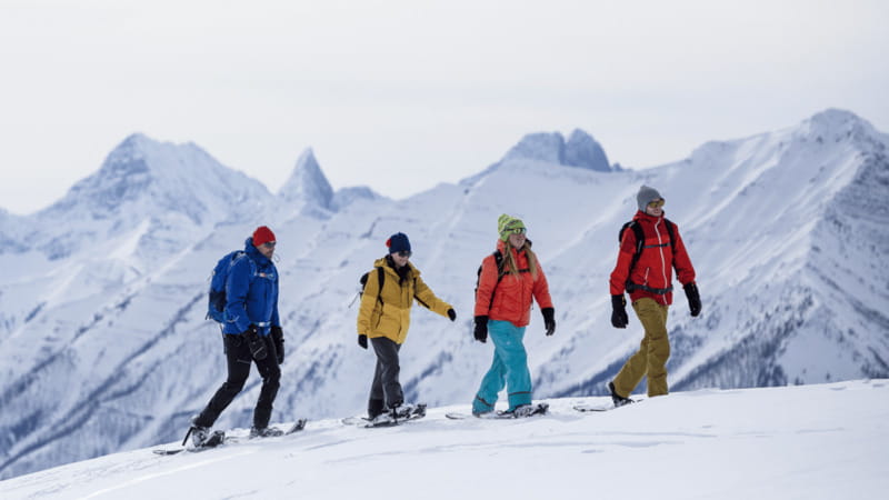 Banff National Park: Sunshine Meadows Snowshoeing Experience - Deep Powder vs Whiteout Weather: Plan for Both