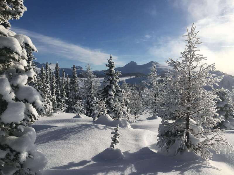 Banff National Park: Sunshine Meadows Snowshoeing Experience - Who This Snowshoe Tour Fits Best (and Who Should Skip It)