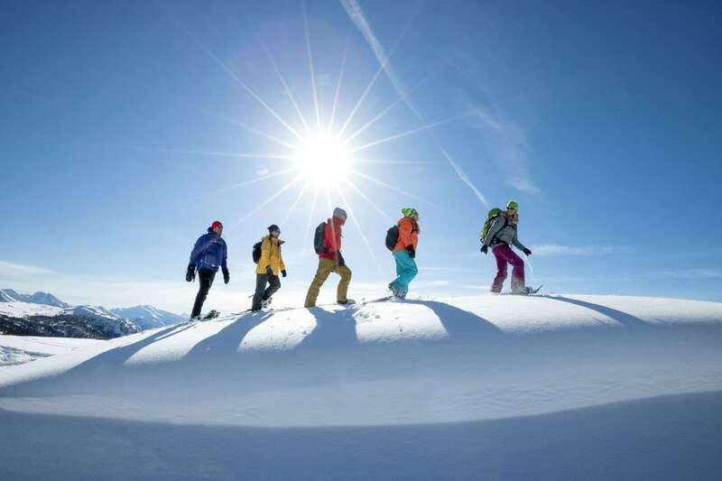 Banff National Park: Sunshine Meadows Snowshoeing Experience - Getting There: Mount Royal Hotel Pickup to Sunshine Village