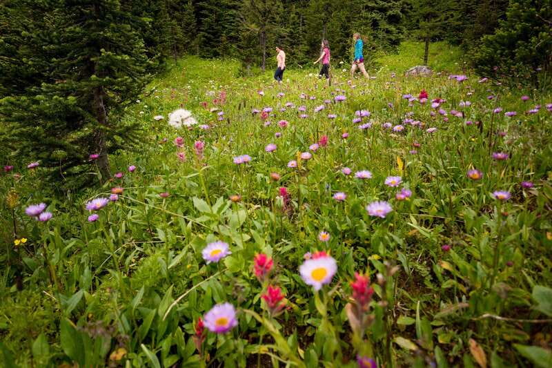 Banff PRIVATE Guided Nature Walk + Transportation - 2.5H - Starting at Cave and Basin: the easy launch point