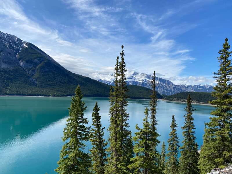 Banff PRIVATE Guided Nature Walk + Transportation - 2.5H - Wildlife spotting, without the stress
