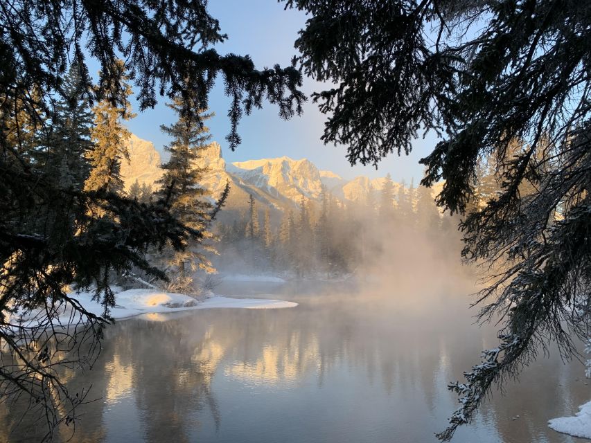 Banff PRIVATE Guided Nature Walk + Transportation - 2.5H - Photo opportunities that don’t feel forced
