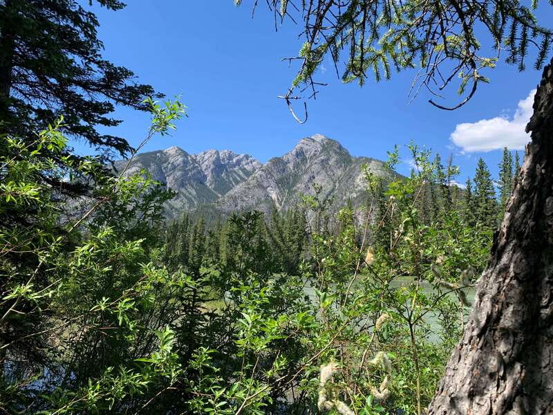 Banff PRIVATE Guided Nature Walk + Transportation - 2.5H - Rain or shine: gear, timing, and the walking reality