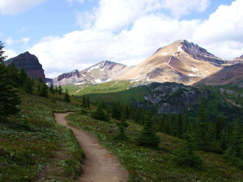 Banff PRIVATE Guided Nature Walk + Transportation - 2.5H - Transportation and time: where the 150 minutes really goes