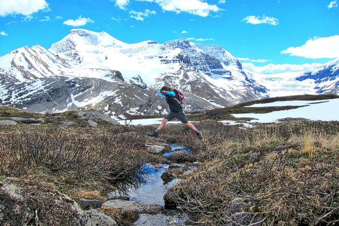 Banff to Jasper One-Way Tour - Columbia Icefield: where the day turns into a glacier day