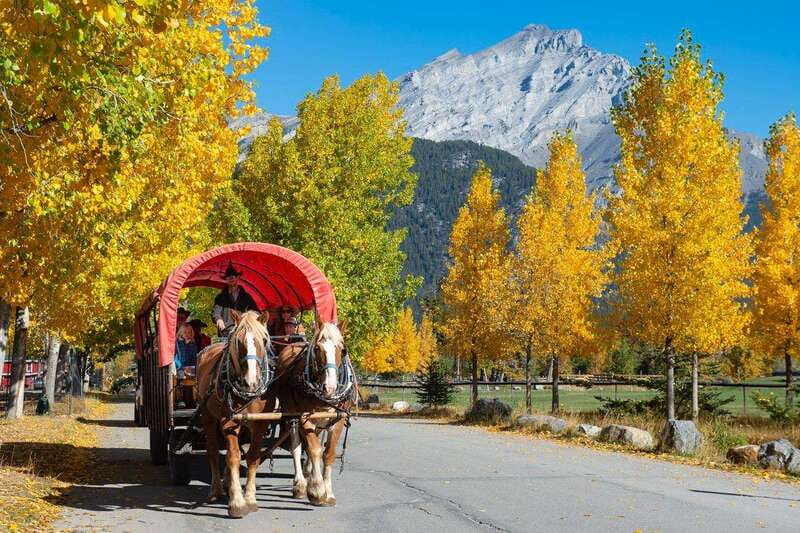 Banff: Wagon Ride with Cowboy Cookout BBQ - The cowboy cookout at 3 Mile Cabin: steak, games, and campfire comfort