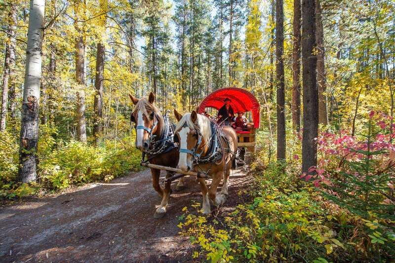 Banff: Wagon Ride with Cowboy Cookout BBQ - Who this tour suits best in Banff (and who should skip it)