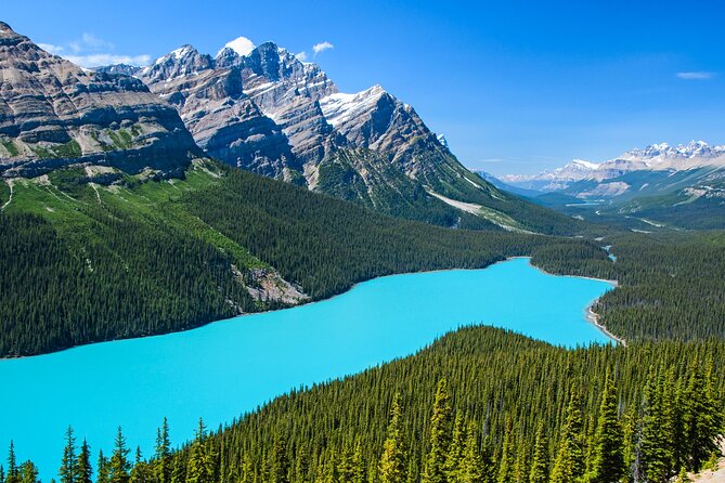 Best of Glaciers from Calgary/Canmore/Banff - Peyto Lake First: The “Wow” Start You Can Feel
