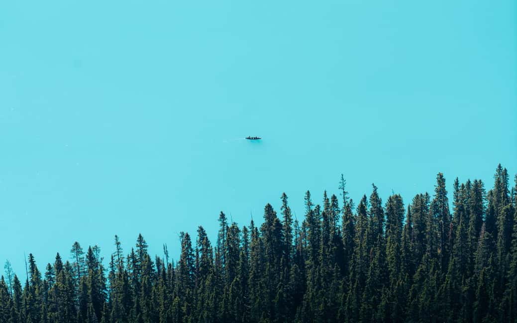 Bestseller from Canmore/Banff: Lake Louise Adventure - Guide Stories and Wildlife Tips You Can Actually Use