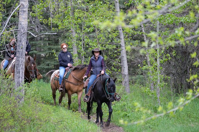 Buffalo Loop 1-Hour Horseback Trail Ride in Kananaskis - Key takeaways before you ride