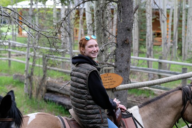 Buffalo Loop 1-Hour Horseback Trail Ride in Kananaskis - The horses: gentle, public-tested, and matched to your comfort level