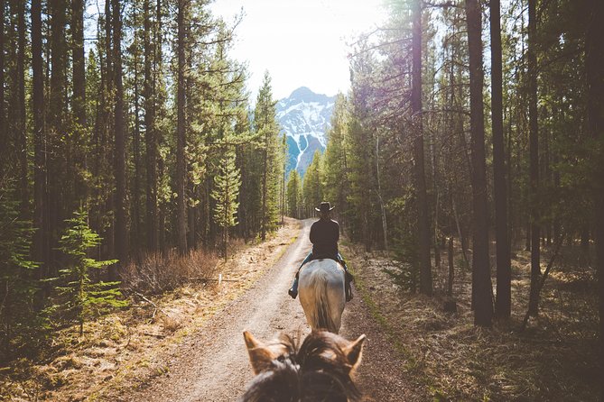 Buffalo Loop 1-Hour Horseback Trail Ride in Kananaskis - Meeting at Boundary Ranch: the gear rules that keep everyone comfortable