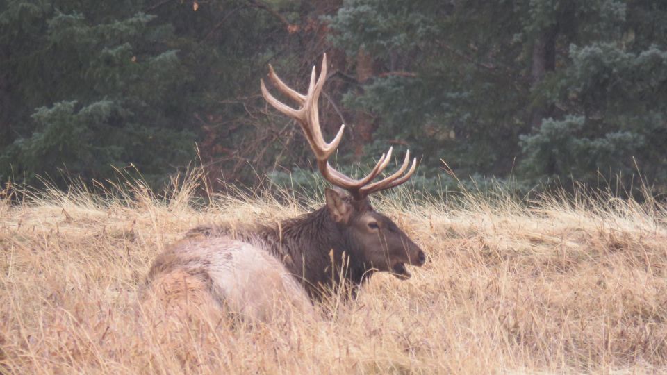 Calgary: 2-Day Banff National Park Highlights Summer Tour - Who this tour suits best (and who should look elsewhere)