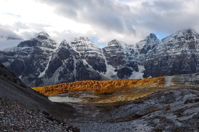 Calgary Airport Shuttle to Banff & Lake Louise - The YYC meeting point: your easiest win is knowing exactly where to stand
