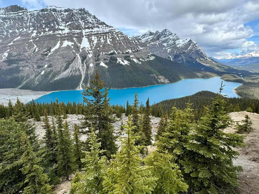 Calgary Banff: Columbia Icefield, Skywalk and Lakes Day Tour - Castle Mountain to Lake Louise: The Day’s Warm-Up Stops