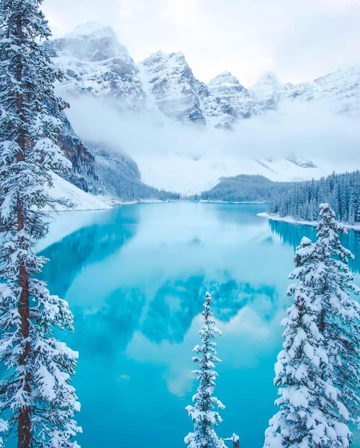 Calgary, Banff: Lake louise , Moraine ,Emerald Lake day Tour - Key Points at a Glance