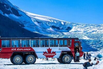 Calgary: Columbia Icefield Adventure, Skywalk and Peyto Lake Tour - Price and value: where the $88.34 really goes