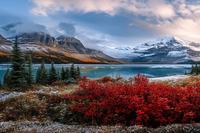 Calgary: Columbia Icefield Adventure, Skywalk and Peyto Lake Tour - Guide quality: the difference between seeing and understanding