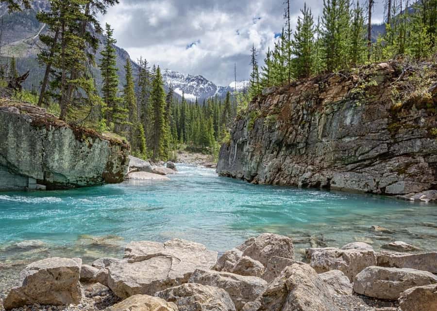 Calgary: Radium Hot Springs & Marble Canyon Day Trip - Marble Canyon Hike: seven bridges, real gorge views, and the right gear