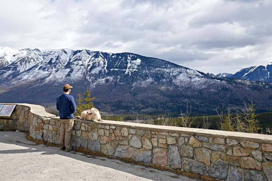 Calgary: Radium Hot Springs & Marble Canyon Day Trip - Guide style and group size: small-group comfort with real care