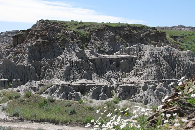 Calgary to Royal Museum | Drumheller – PRIVATE TOUR - Horseshoe Canyon: The Badlands Start With a Real Shape